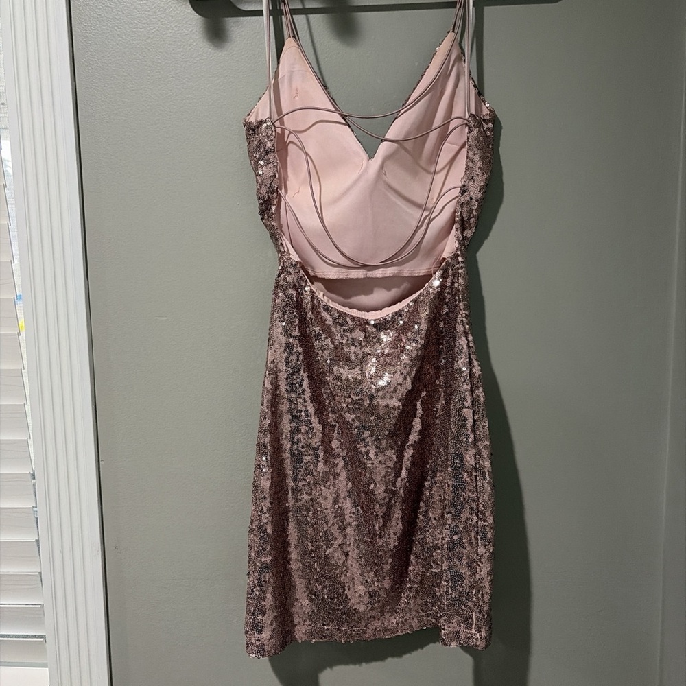 Windsor Pink Sequin Backless Dress